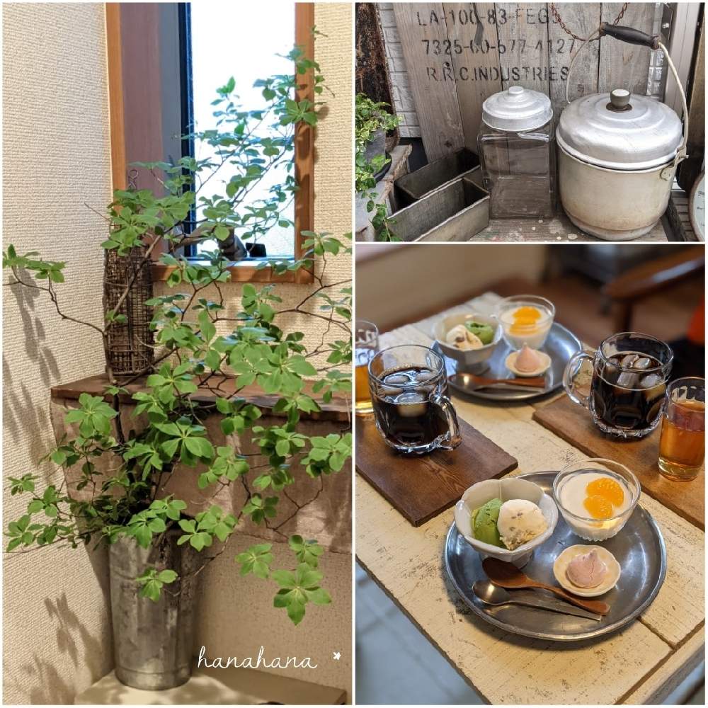 部屋の画像 by hanahanaさん | 部屋とドウダンツツジと骨董市 戦利品とグリーンのある暮らしとおうちdeカフェと癒しと植物時間と涼し気と癒しの空間と雑貨好きと素敵な空間とレトロと古道具のある暮らしと玄関周りの植物とお家時間と花好きと花のある暮らしと古道具とインテリア好き