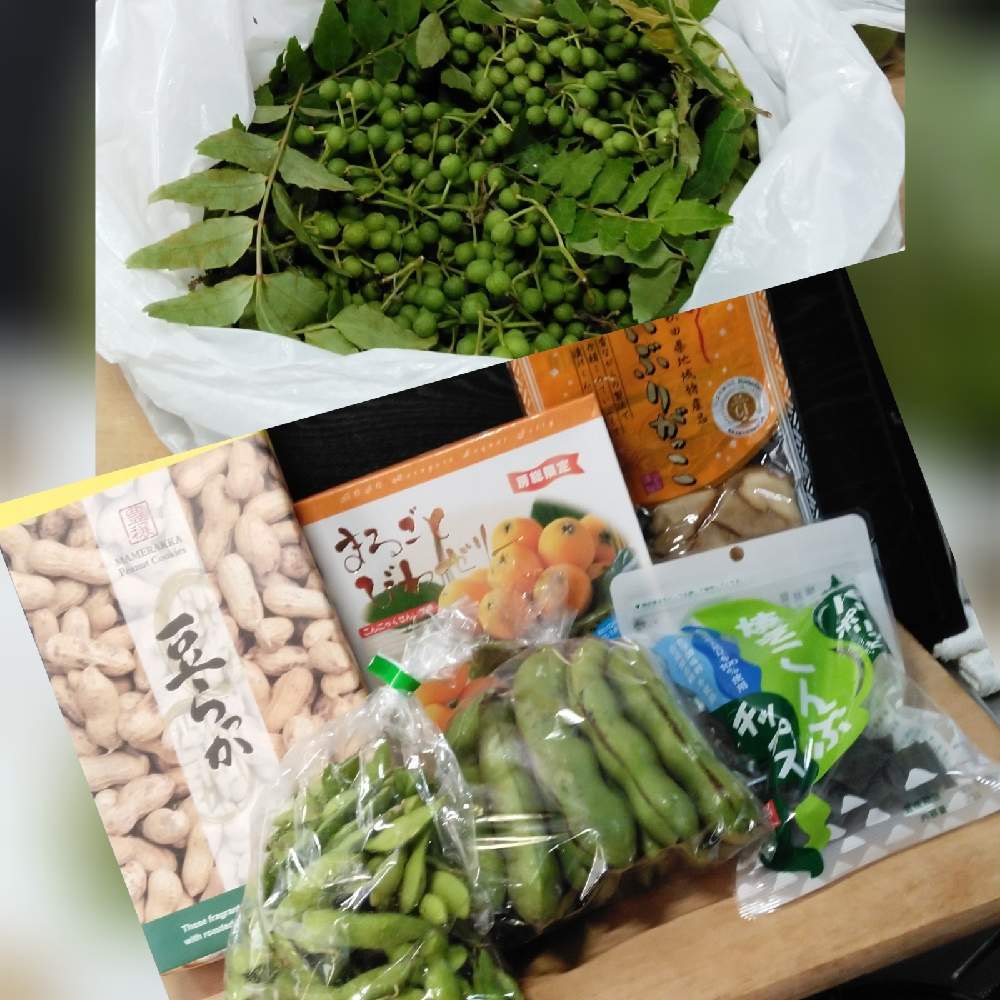 の画像 by 天の川さん | 山椒の実と花友さんの地元の品々と真心便に感謝とベテラン乙女倶楽部といつも有り難うございますと感謝いっぱいですと空豆と山椒の実。と感謝と地元の品々と枝豆えだまめと感謝を込めてと真心プレゼントと真心便に感謝を込めて