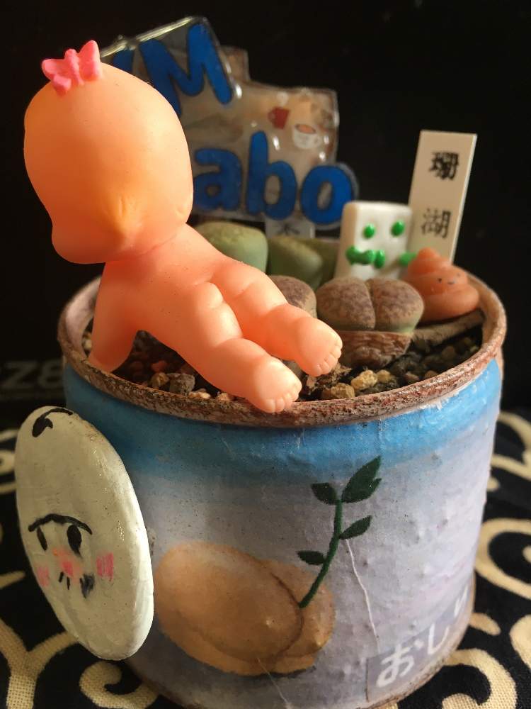 部屋の画像 by KM saboさん | 部屋とキモカワ倶楽部とマイペースupと植中毒とオケツの日とキューピーと繋がりに感謝✨