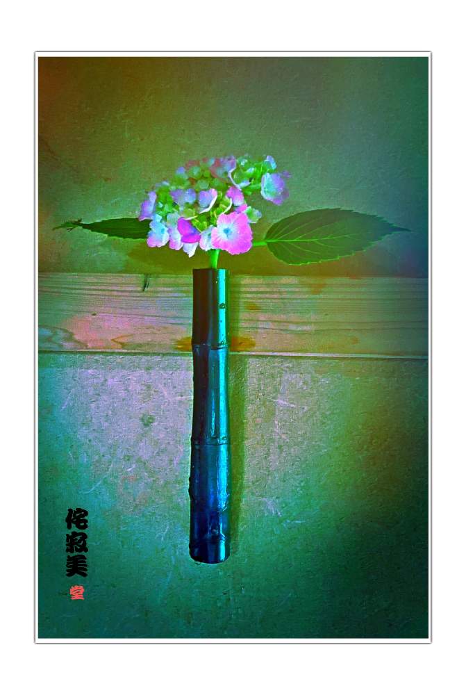 の画像 by Kazyanさん | 万葉の藪庭の花華たち 和堂とアジサイを楽しむと紫陽花シリーズ 和堂と詠歌:紫陽花と侘寂美シリーズ 和堂と万葉の藪庭シリーズ編と万葉の藪庭シリーズ 和堂とアジサイ:紫陽花シリーズ 和堂と万葉の藪庭の花々 和堂とアジサイ 紫陽花と詠歌シリーズ 和堂と詠歌と生花シリーズ 和堂