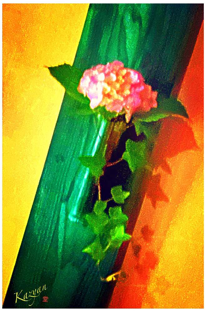 インテリアの画像 by Kazyanさん | インテリアとアジサイとアイビーと花器:角竹製とアジサイを楽しむと紫陽花シリーズ 和堂と万葉の藪庭シリーズ編と万葉の藪庭シリーズ 和堂とアジサイ:紫陽花シリーズ 和堂とアイビー 和堂と万葉の藪庭の花々 和堂とアジサイ 紫陽花と花言葉シリーズ 和堂と生花シリーズ 和堂