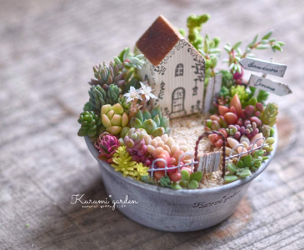 デスクの画像 by くるみ*さん | デスクと多肉植物 寄せ植えと箱庭と箱庭 多肉植物とヴィンテージとミニチュアガーデンと箱庭作りとくるみさんの手のひらガーデンと手のひらガーデンとハンドメイド作品と多肉植物の箱庭と多肉植物寄せ植えと多肉植物のある暮らしとくるみさんのミニチュアガーデンと小さな世界の物語とくるみ*さんの手のひらガーデンとくるみガーデンと多肉植物の寄せ植え♡とハンドメイドとKurumi*gardenとお菓子の型とミニチュアの世界とお気に入りの鉢と植物_2021とミニミニハウス