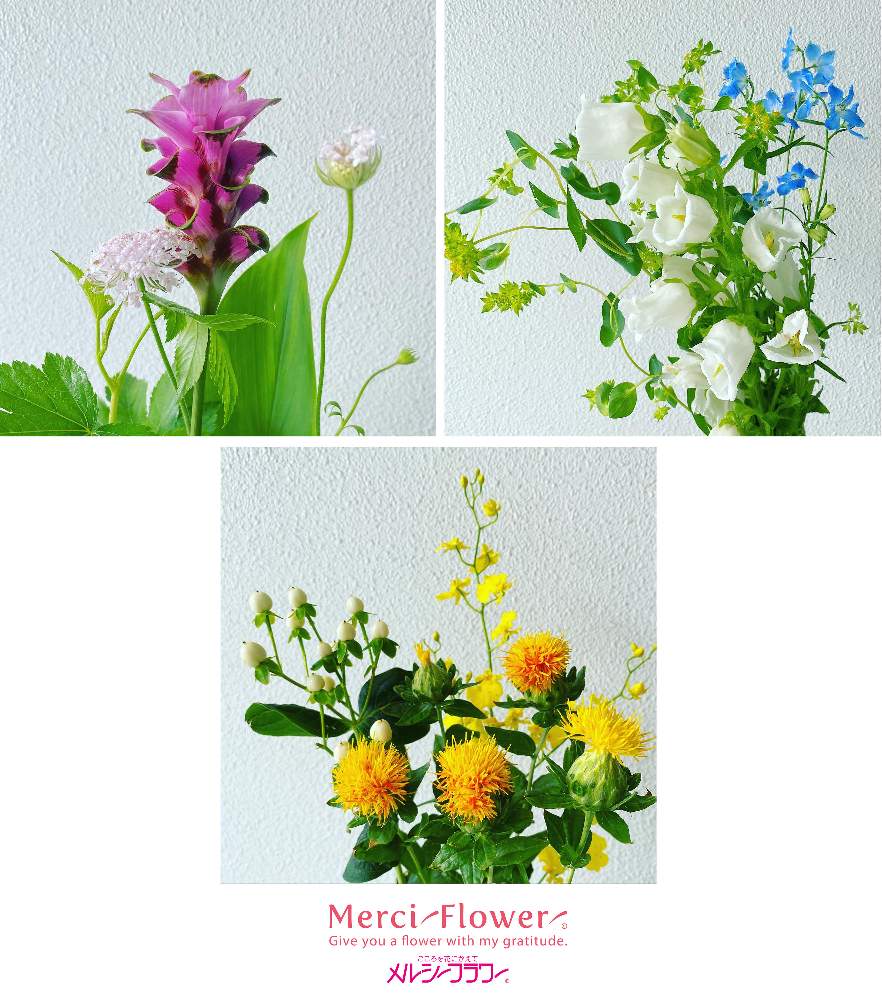 の画像 by メルシーフラワーさん | 花のある空間とスーパーマーケットの花とスーパーの花屋さんと癒しとお花女子とおうち花見と花を飾るとスーパーの切花とハナカジとメルシーフラワーとこういう時こそお花を飾ろうと花のある暮らしとこころを花にかえてとお花男子と花束