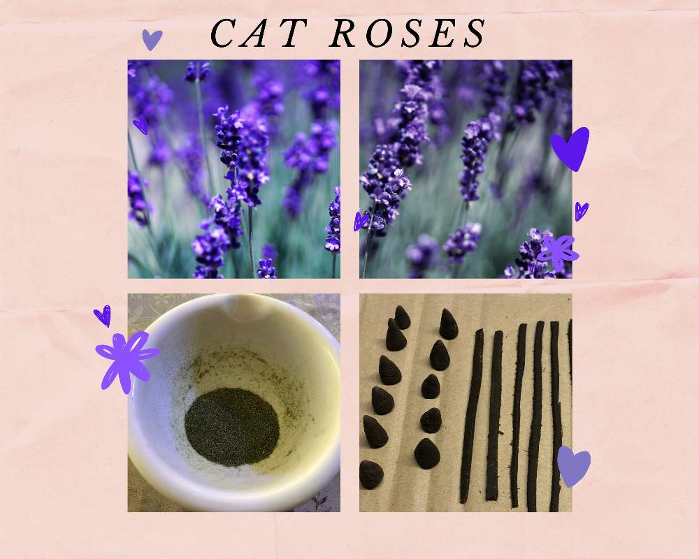 インテリアの画像 by CAT ROSESさん | インテリアと茶花と田舎暮らしのルーティンとドライフラワーと丁寧な暮らしと猫と私の気ままな暮らしと田舎暮らしと花入と山野草とおうち園芸とCATROSESの庭とcatstairosesと庭づくりと花数寄と蒼松庵の庭と山野草の庭づくりと花のある暮らしと茶花の庭とラベンダーの香作り