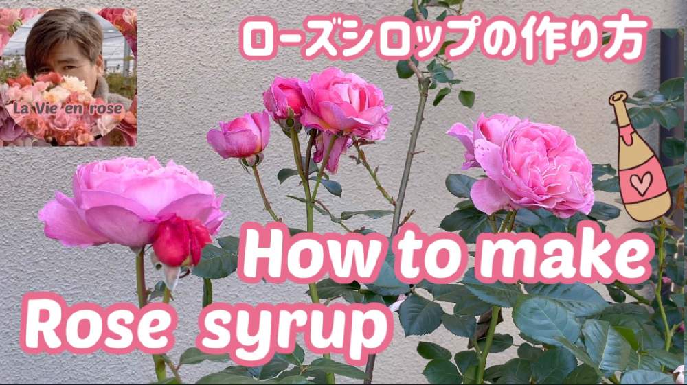キッチンの画像 by Rosarian Prince ラビたむさん | キッチンとつるバラ壁面誘引とばら バラ 薔薇と薔薇愛同盟とバラのシロップと水曜ローズショーと薔薇の育て方勉強中✏と薔薇に魅せられてとバラの育て方とバラの花束♡とローズシロップとバラの映画と薔薇の初心者教室と花のある暮らしと自然農法バラ栽培と薔薇大好きとケルナフローラとナチュラルローズ