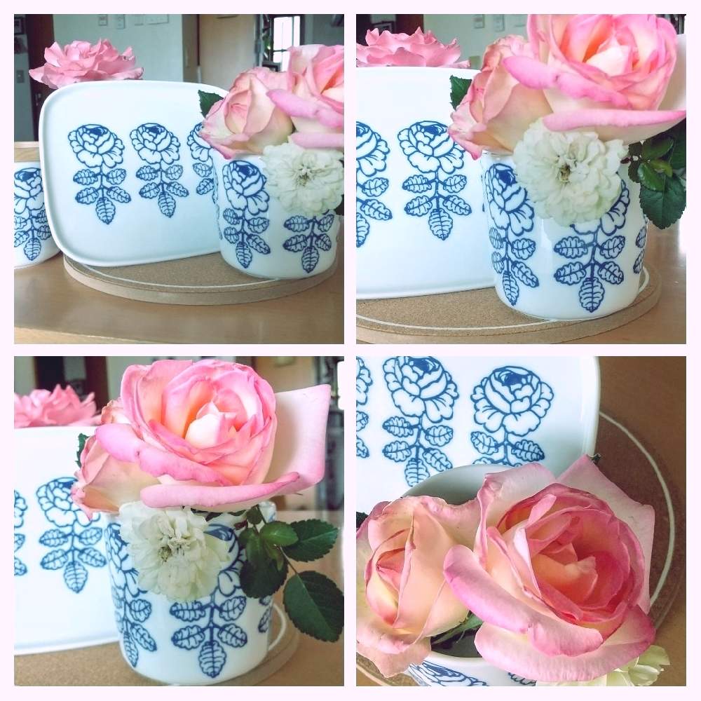 部屋の画像 by ❀La’❁❀さん | 部屋とバラ、薔薇、ばらと多肉植物初心者と犬好きと癒やされるとばら バラ 薔薇とネコ好きとGS映えと花を飾るとおうち園芸とピンクのお花とガーデニングと癒し…♡と花のある暮らしと北欧雑貨と北欧食器と観葉植物のある暮らしとインテリアグリーン