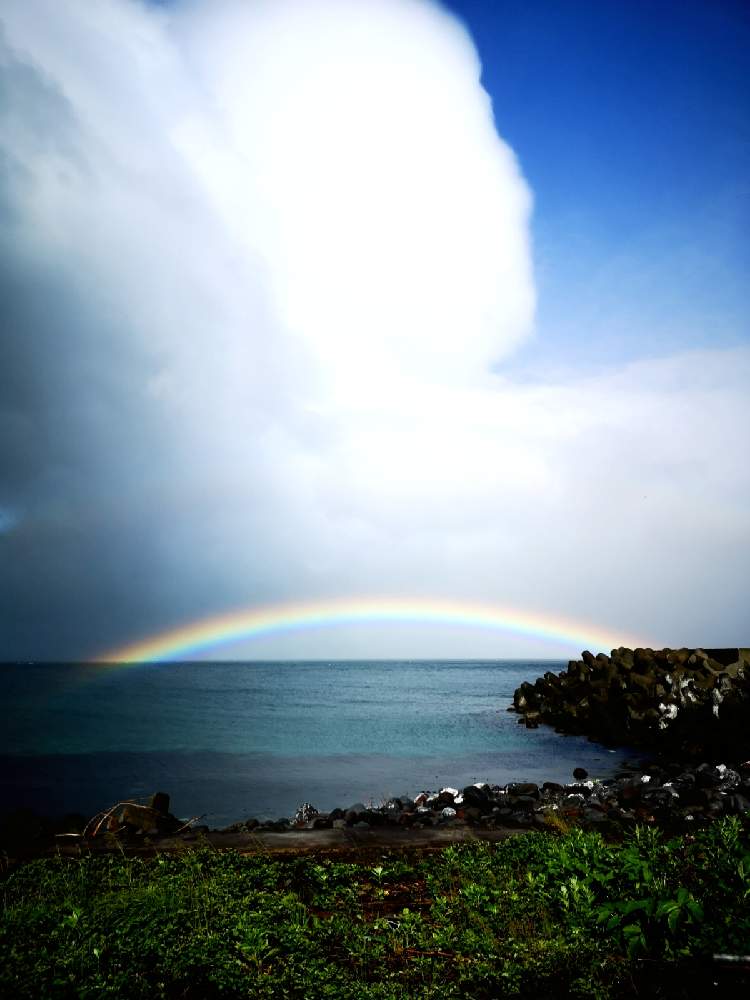 お出かけ先の画像 by fu~さん | お出かけ先とスマホ撮影と春の景色と医療従事者に感謝して