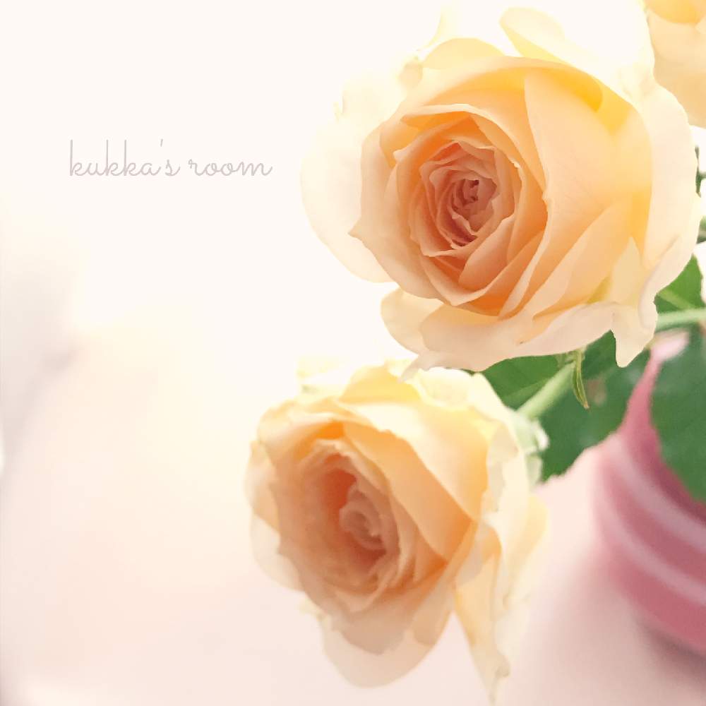 デスクの画像 by kukkaさん | デスクとバラと逆光と水曜ローズショーと癒しと切り花を楽しむと花を飾ると黄色い花と穏やかな心とナチュラルスタイルと花のある暮らしと花瓶合わせとかわいいな♡と優しい色と切り花