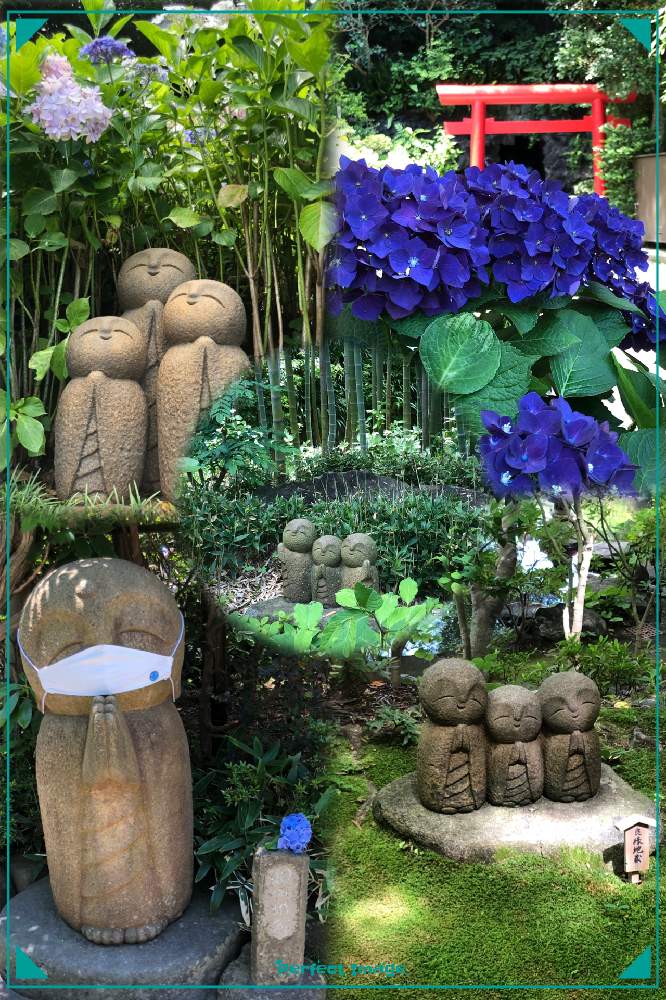 の画像 by hirarinさん | 紫陽花ディープ・パープルとアジサイと紫陽花と医療・介護の皆様に感謝とコロナウイルスの終息を願う!と鎌倉と長谷寺とhirarinの紫陽花とGS皆様ありがとうと被災地にエールを…。と良縁地蔵 鎌倉とhirarinの鎌倉レポートとビューティフルサンデーと紫陽花ふしぎ発見と2021紫陽花祭り【青】と紫陽花大好きと紫陽花祭りとチーム・ブルーNo.116