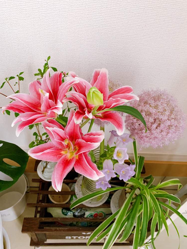 玄関の画像 by sachicoco1001さん | 玄関と八重の百合とお花大好き♡とピンクの花と百合の花と花言葉とお花初心者とユリ ゆりと町のお花屋さんとお花のある生活とお花好きとお花好きの人と繋がりたいと切り花と薔薇好きさんと繋がりたい