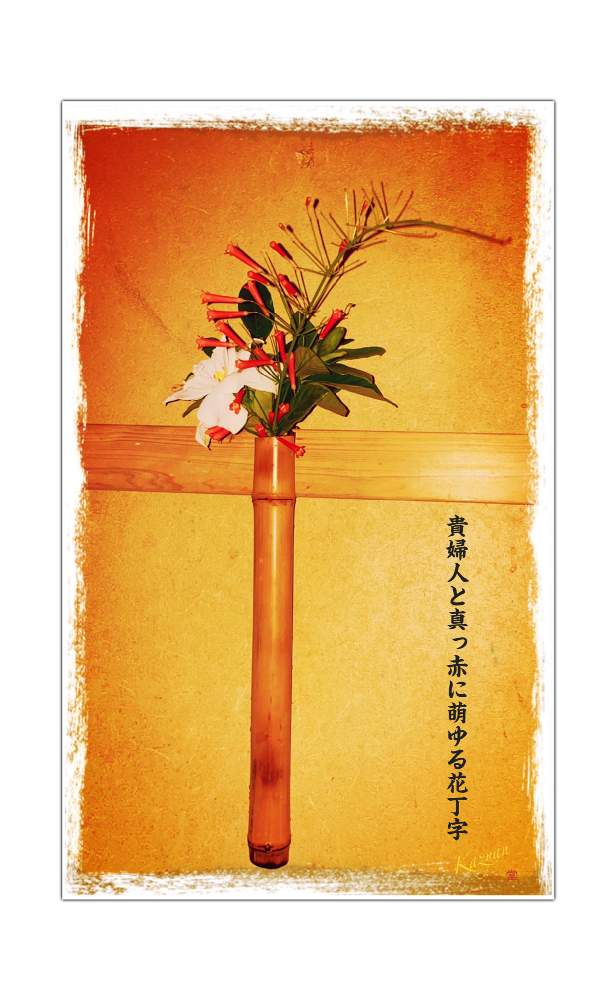インテリアの画像 by Kazyanさん | インテリアとハナチョウジ(ラッセリア)とクチナシの花と蕾と万葉の藪庭の花華たち 和堂とくちなしシリーズ 和堂と万葉の藪庭シリーズ編と万葉の藪庭シリーズ 和堂と生花シリーズ 和堂とクチナシの花♡と万葉の藪庭の花々 和堂とハナチョウジ:花丁字 和堂と詠歌シリーズ 和堂と八重咲きくちなし 和堂と詠歌と2021年クチナシ編