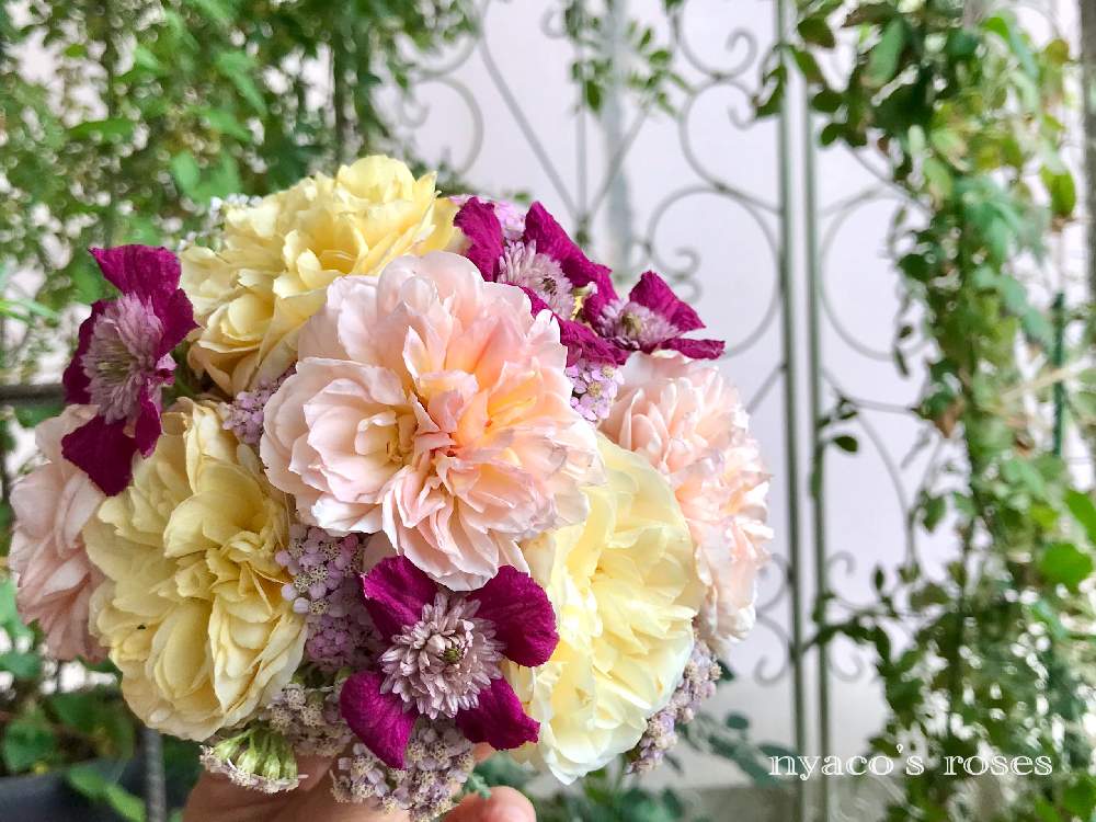 の画像 by nyacoさん | ジュリエット バラとnyaco's rose 2021春♡と私のローズガーデンinベランダ♬とばら バラ 薔薇とジュール・ヴェルヌと薔薇に魅せられてとバラ・切り花品種とバラのある暮らしとベランダガーデンとバラと夢CLUBと宿根草♪とクレマチス*アバンギャルドと2021 GSでバラ園とバラが好きとnyaco's 2nd garden rose✼¨*と薔薇♪とバラ・ミニバラとベランダでバラを♬とnyaco's arrangementと庭の宿根草