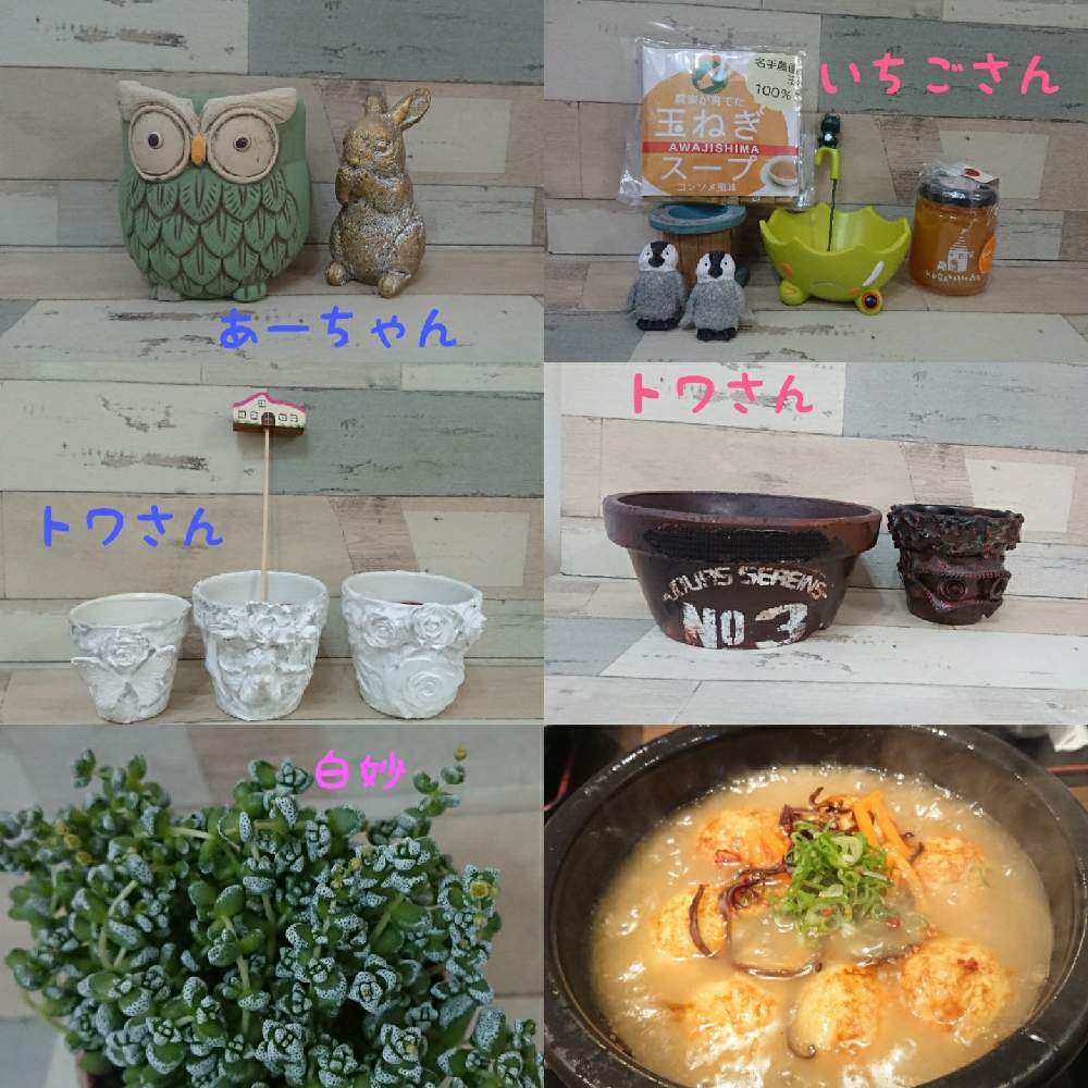 部屋の画像 by 45さん | 部屋と美味しいものとHTCとトワさん、有り難うとたにおたくらぶ No.132といちごさん、有り難うとあーちゃん、有り難うとバラと夢CLUBとキモカワ専門店とHTC no,174と多肉女子とタニラーと頂き物とたにおたくらぶ