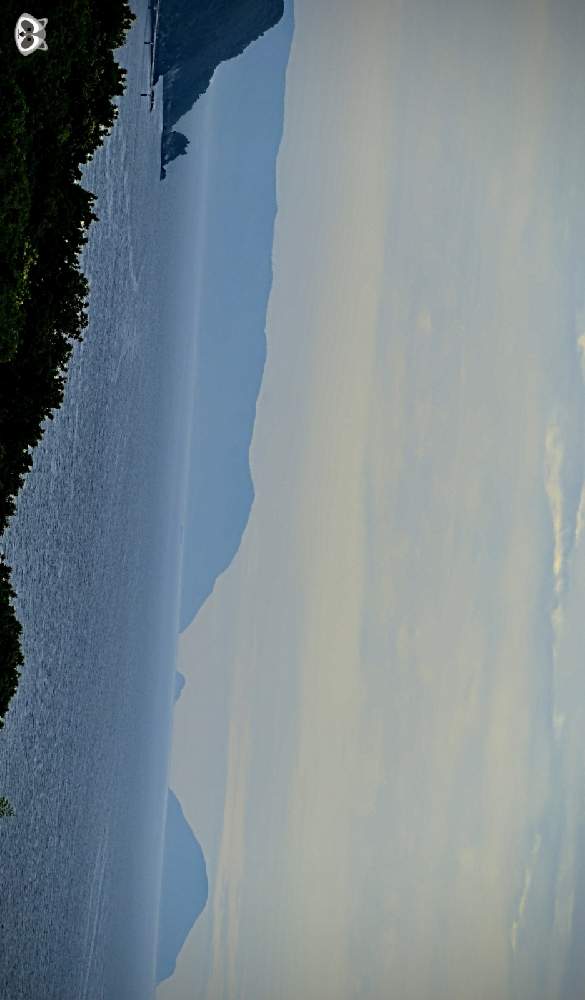お出かけ先の画像 by ムラタヌキさん | お出かけ先と水辺の水曜日と雲仲間と風景と山口県と瀬戸内海と冠梅園