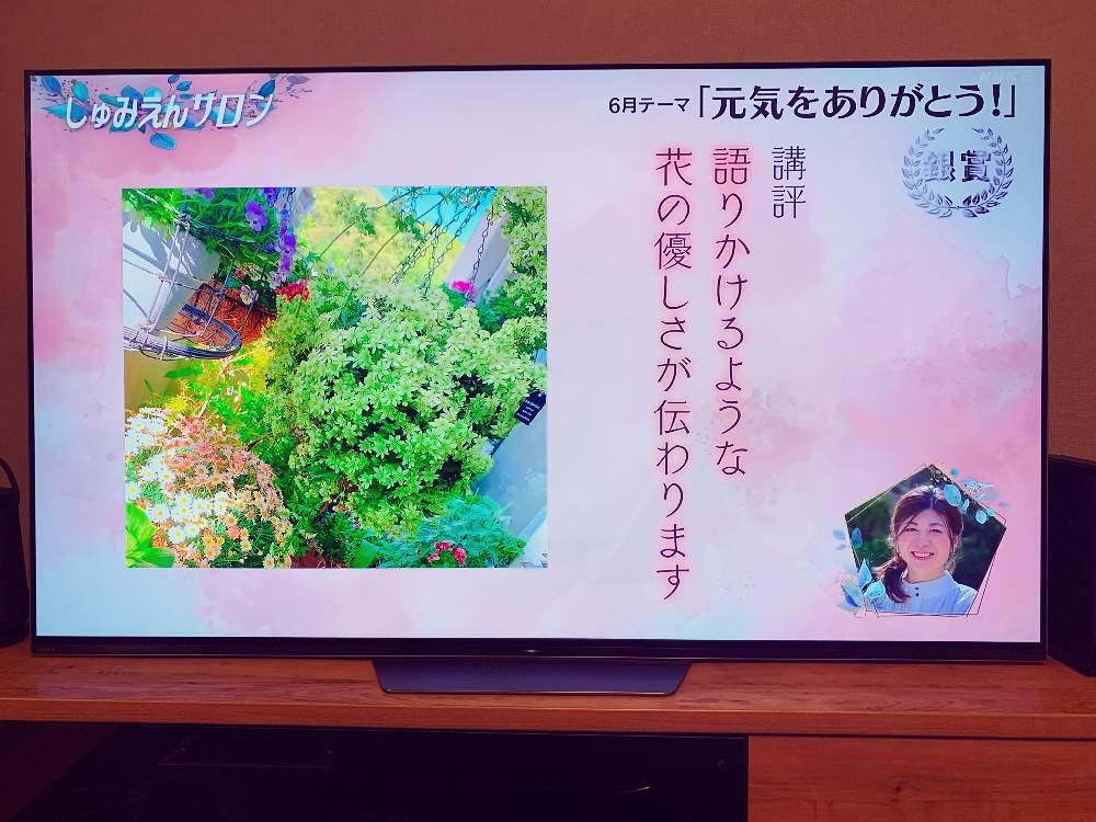 部屋の画像 by Tenさん | 部屋と植物のある暮らしとベランダのお花とベランダガーデニングとクレマチス♬とベランダガーデンとお家大好きとプロフからminneに飛べますと趣味の園芸♡とグリーンとお花のある暮らしとNHK趣味の園芸とお気に入りコーナーとしゅみえんサロンと花のある暮らしとminneで活動中☆と春のベランダ