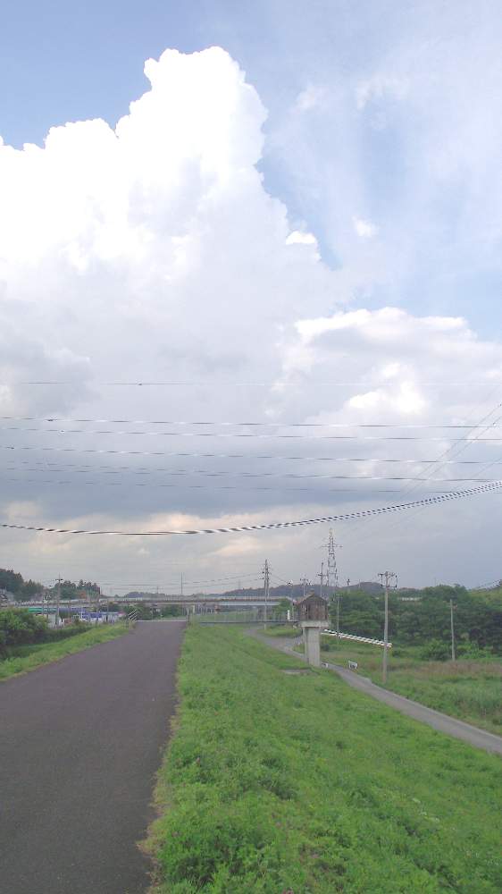 お出かけ先の画像 by 風の駅さん | お出かけ先と雑草どんと土曜はお空の発表会と雲仲間と田舎の道とFinepix S2500HD撮影と通勤の途中と土曜の土手の日と阿武隈川とぶらり電動チャリ