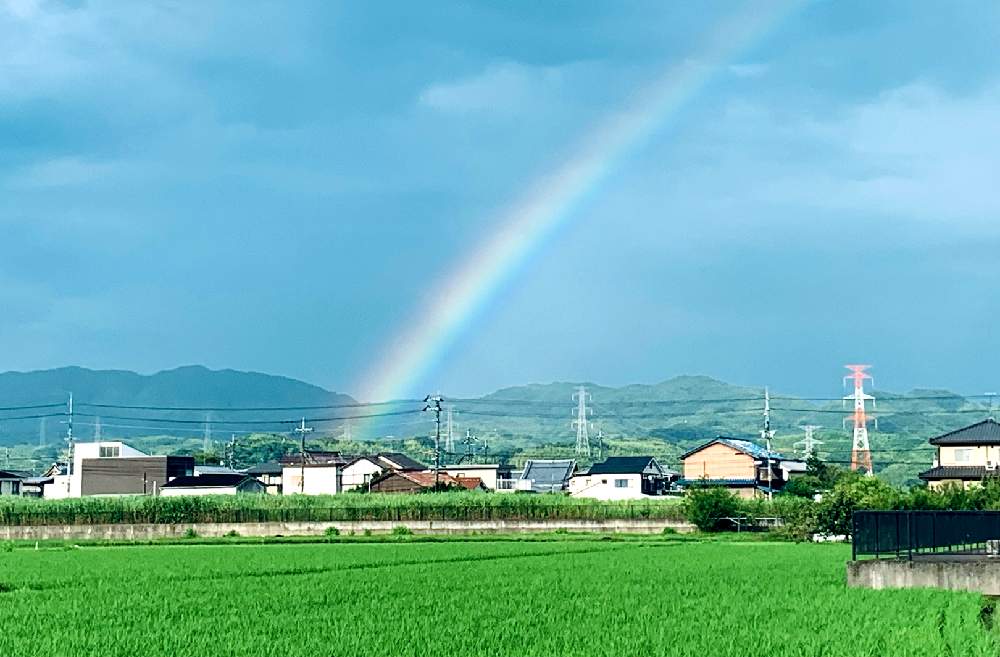 お出かけ先の画像 by muuuさん | お出かけ先と梅雨と梅雨の晴れ間と田園風景と雨の日と雨上がりと平和な日常と植物のある暮らしと隣り町とグリーンのある暮らし
