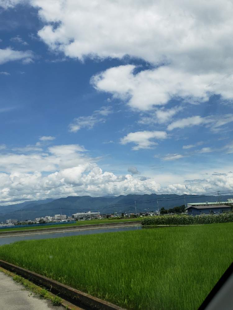 の画像 by そら次郎さん | 土曜はお空の発表会と新型コロナウィルスの終息を願いますと医療従事者の方々に感謝しますと通勤途中とねこがすきと雲仲間と皆さんに感謝と豪雨の被害が拡大しませんようにと熱中症に気をつけましょうと☁️が好きと早く見つかりますように!