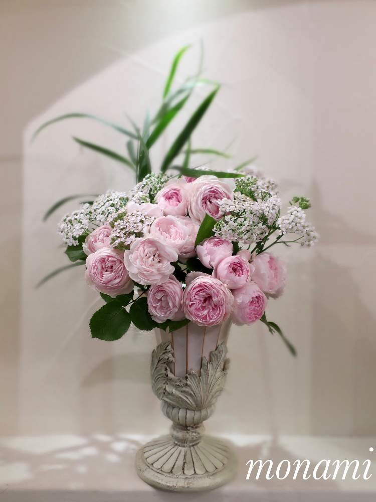の画像 by モナミさん | 私の癒し♡とわたしの楽しみと薔薇愛同盟とおうち時間とわれら17年組とバラが咲いたよとクリスティアーナ バラとバラのある暮らしと庭の花でアレンジとキッチンニッチでと育てたお花でアレンジと月曜日にはバラをとバラが好きと庭バラ