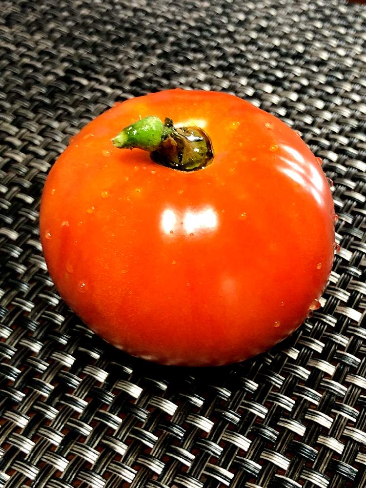 キッチンの画像 by ラフラフさん | キッチンとトマトと植物のある暮らしと新鮮野菜✨と癒しと採れたて野菜と美味しい野菜とおうち園芸と植物を楽しむと鮮やか とレッドとおうちで過ごそう