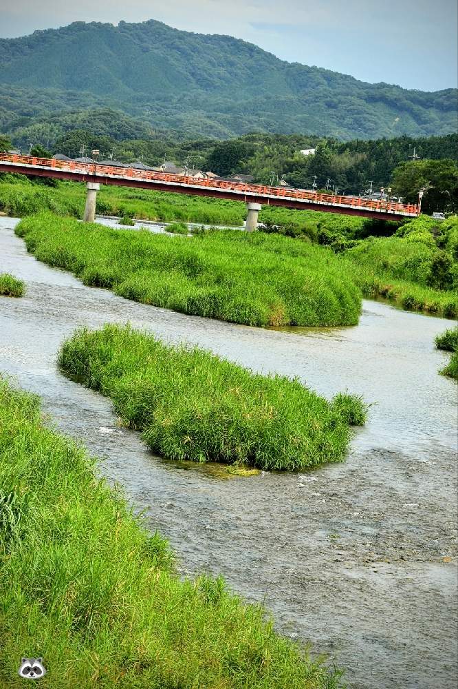 お出かけ先の画像 by ムラタヌキさん | お出かけ先と雑草どんと水辺の水曜日と河川敷と風景と土曜の土手の日と山口県と綺麗✨