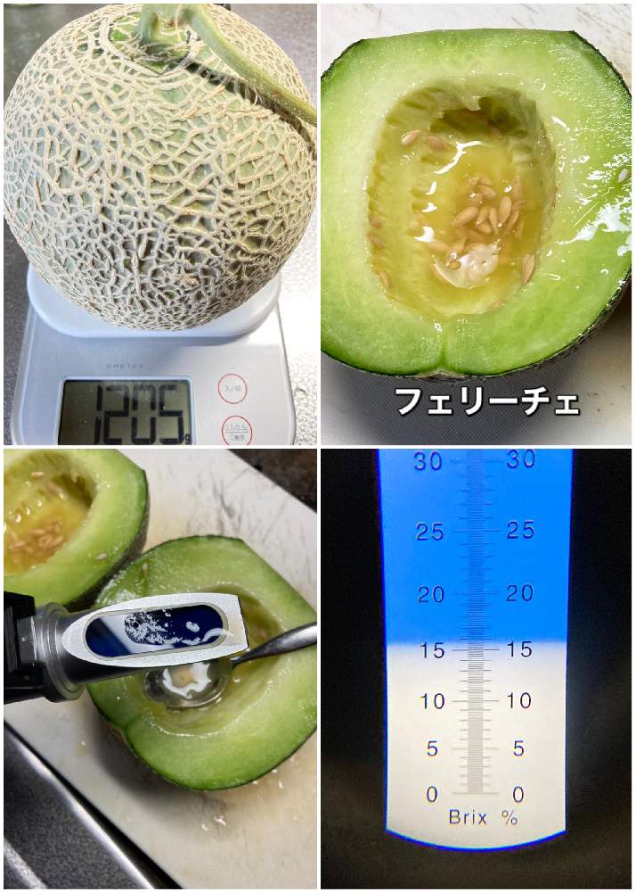キッチンの画像 by kwackyさん | キッチンとネットメロンとネットメロン フェリーチェと家庭菜園とおうちde菜園とおうち園芸と花のある暮らしと家庭菜園奮闘日記