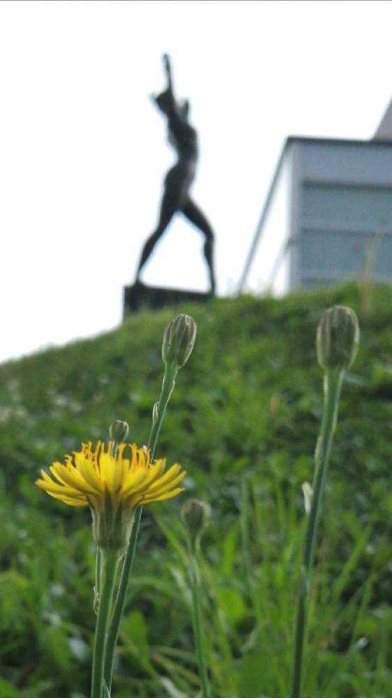 お出かけ先の画像 by 風の駅さん | お出かけ先と雑草どんとFinepix S2500HD撮影と銅像と通勤の途中と土曜の土手の日とオケツの日とぶらり電動チャリ