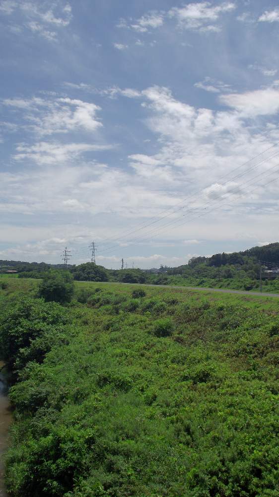 お出かけ先の画像 by 風の駅さん | お出かけ先と雑草どんと土曜はお空の発表会と鉄塔と雲仲間とFinepix S2500HD撮影と通勤の途中と土曜の土手の日とぶらり電動チャリ