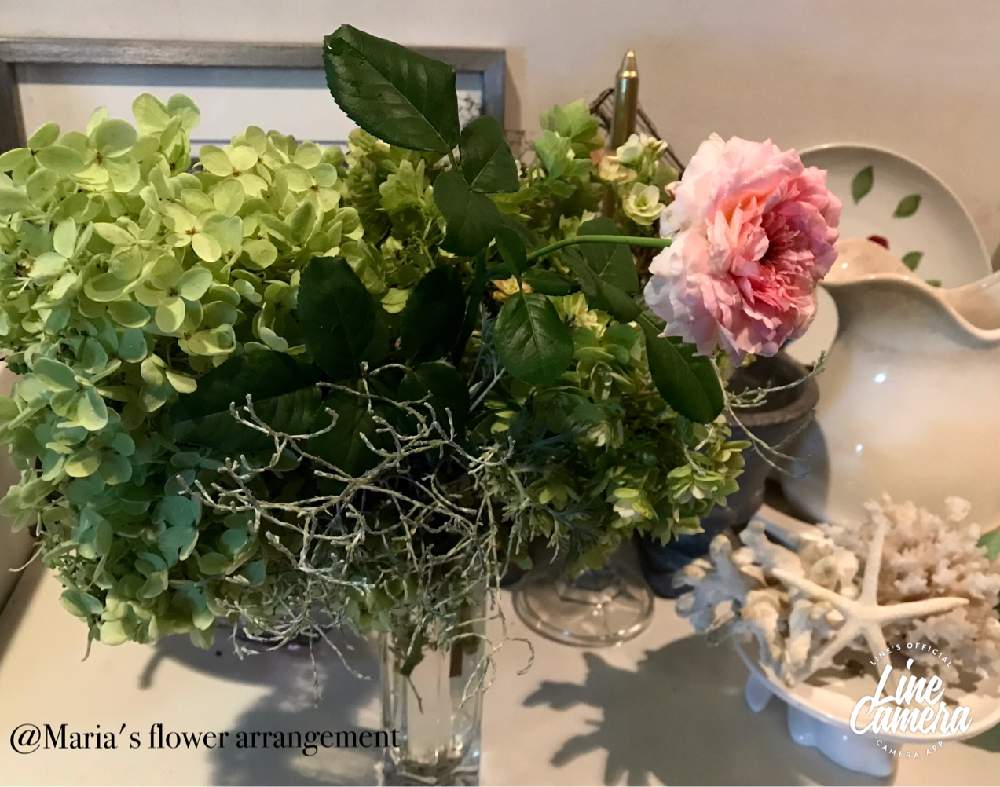 部屋の画像 by マリアさん | 部屋とピラミッドアジサイとバラ オーブとmy garden♬とstay home and enjoy gardening !とノンフィルターとB型と庭の植物と可愛いピンクとiPhone7撮影とI love plants❣️と今日の花とフラワーアレンジメントと12月生まれ♪と植え中毒と花のある暮らしとgreen*love