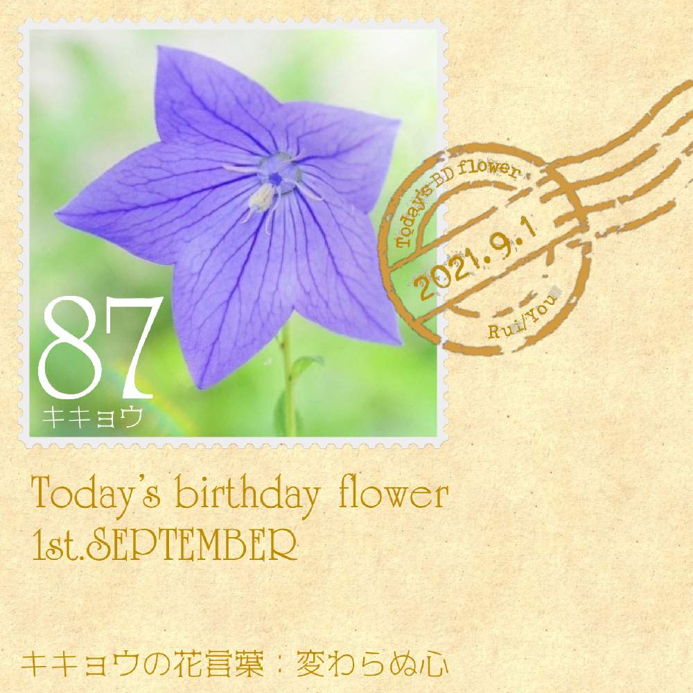 お出かけ先の画像 by 黝-ユウ-(´•௰W)♂シャニライイベ爆走コメ遅延さん | お出かけ先とキキョウと誕生花Seriesと花好きバンドマンと花切手とお写んぽと誕生花と誕生花切手シリーズと黝フォトと紫の花とお花との思い出/黝の宝箱