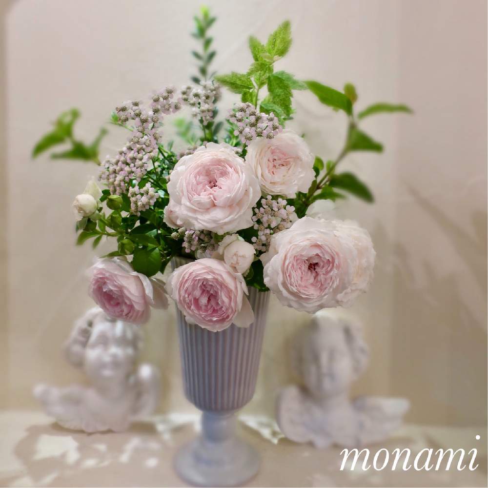 キッチンの画像 by モナミさん | キッチンと私の癒し♡とわたしの楽しみと薔薇愛同盟と水曜ローズショーとおうち時間とわれら17年組とバラが咲いたよとクリスティアーナ バラとバラのある暮らしと庭の花でアレンジとキッチンニッチでと育てたお花でアレンジとバラが好き
