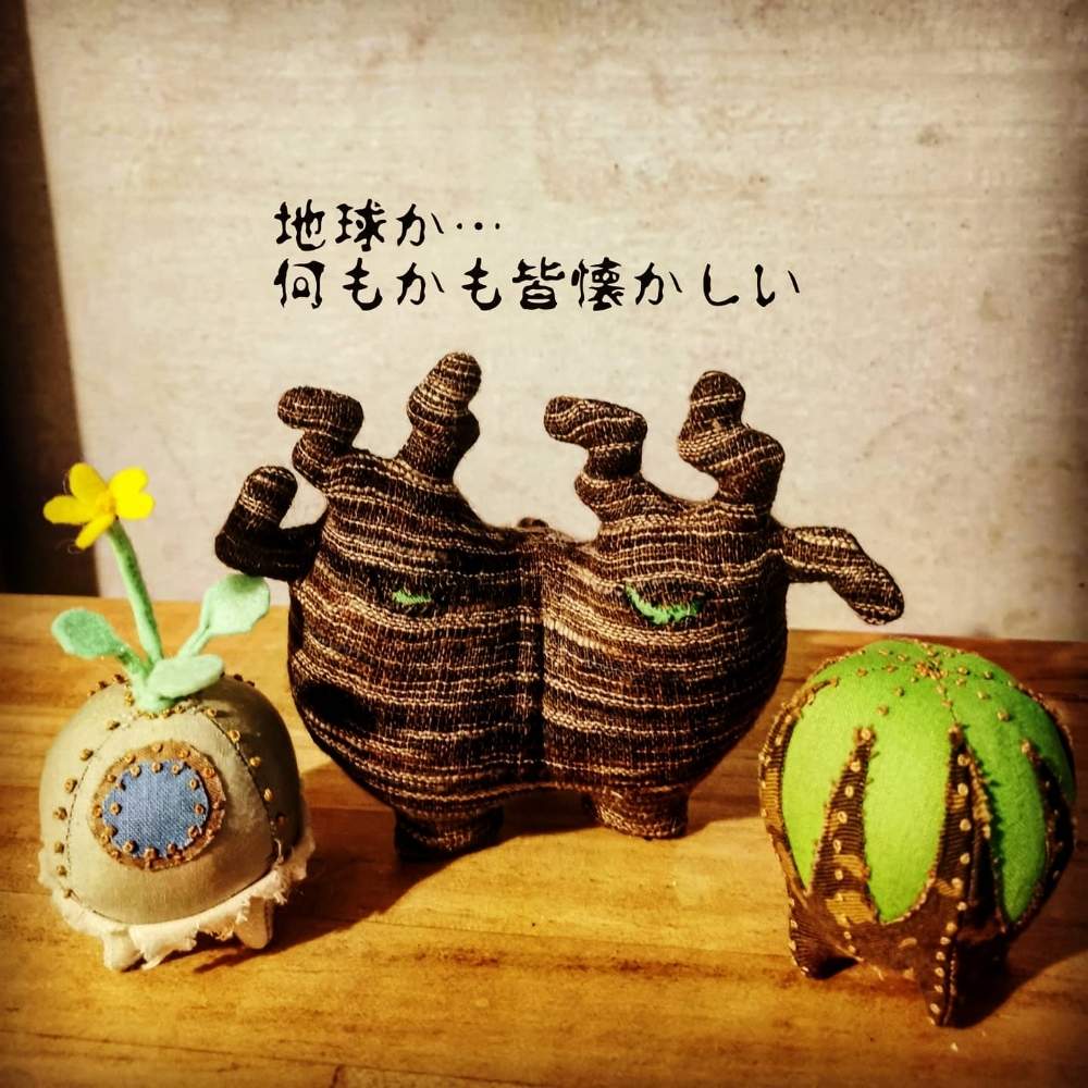 インテリアの画像 by poporopoooさん | インテリアと花と緑のある暮らしとユーフォルビア ・オベサとオペルクリカリア パキプスと多肉大好きと塊根大好きと多肉植物のある暮らしとコーデックスとCaudexと緑のある暮らしとパキプスと塊根まん・ベアルートと塊根植物とハンドメイドと珍奇植物とオトンナ カカリオイデスとユーフォルビアとモンスターとグリーンとzooo plants