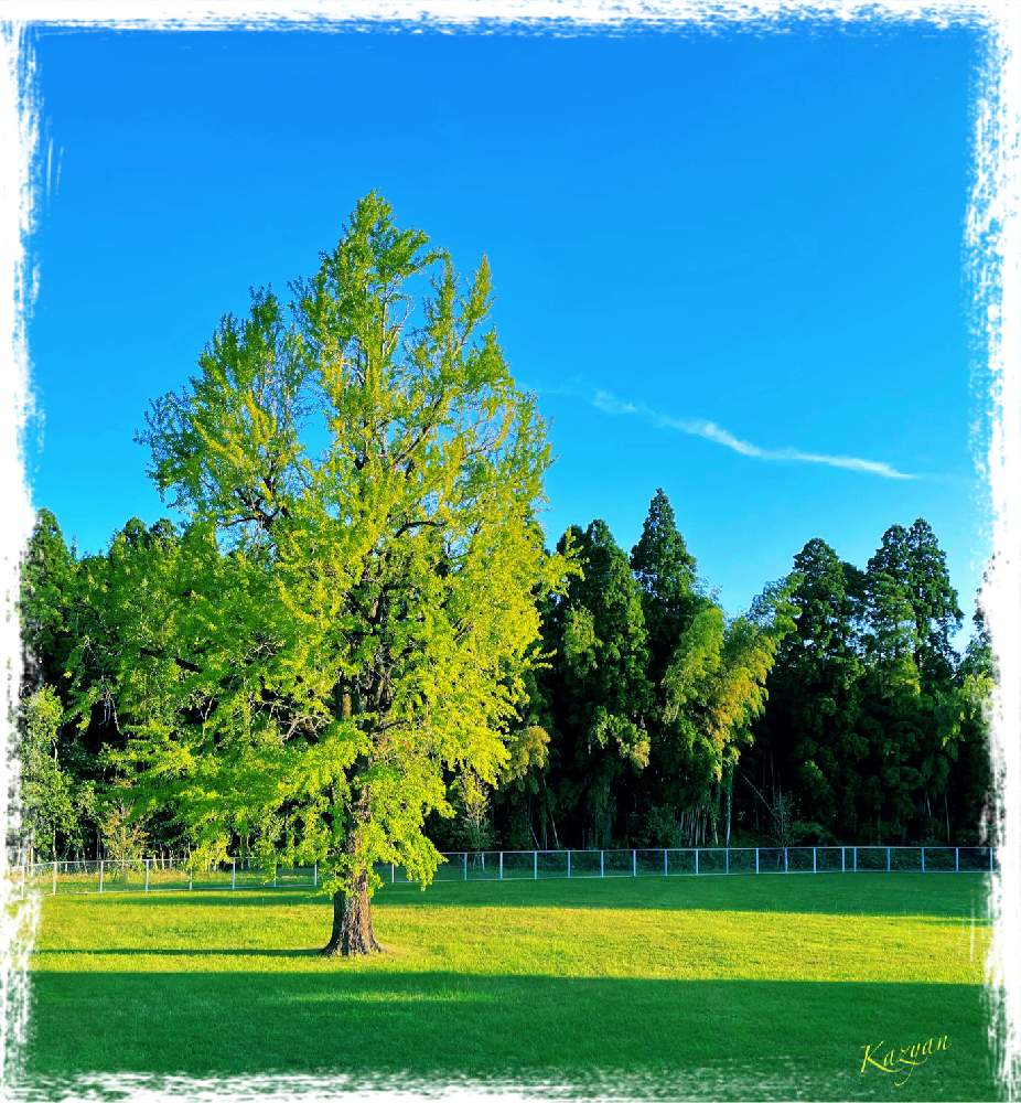 お出かけ先の画像 by Kazyanさん | お出かけ先と詠歌シリーズ 和堂と短歌を添えてと早朝の散歩道と銀杏の樹シリーズ 和堂と銀杏シリーズ 和堂と清武地区交流センターと散歩道と朝の散歩道と散歩道の風景シリーズと郷土の風景シリーズ 和堂と日の出の風景と朝陽シリーズ 和堂と日の出シリーズ 和堂