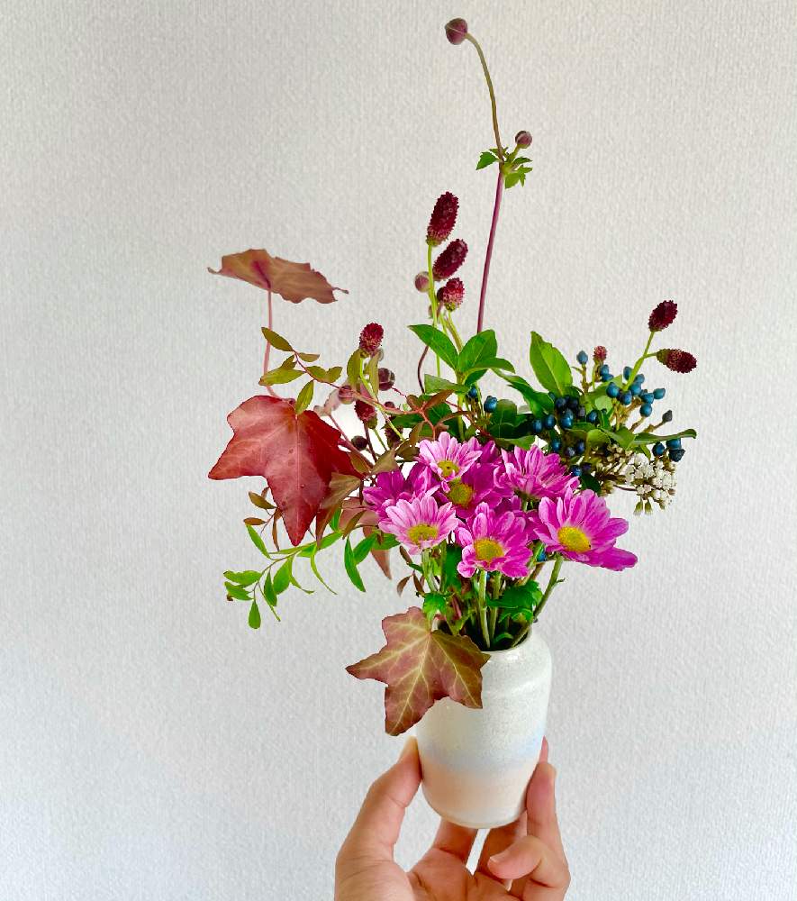 の画像 by mochiさん | マムとスーパーマーケットの花とおうち時間と癒しとお花女子とハナカジとメルシーフラワーとスーパーのお花コーナーでと花のある暮らしと花が好き