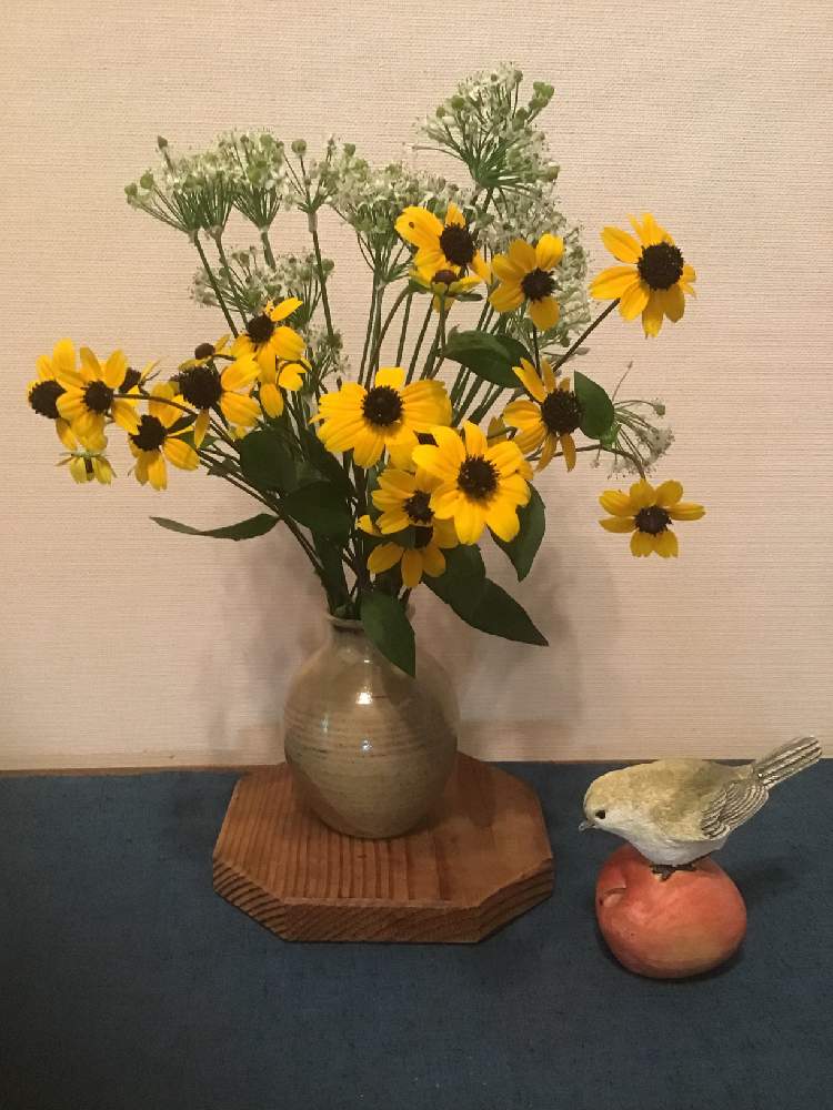 玄関の画像 by うたちゃんさん | 玄関とニラの花♡とGS映えとGS日和と小さな アレンジとルドベキア タカオ