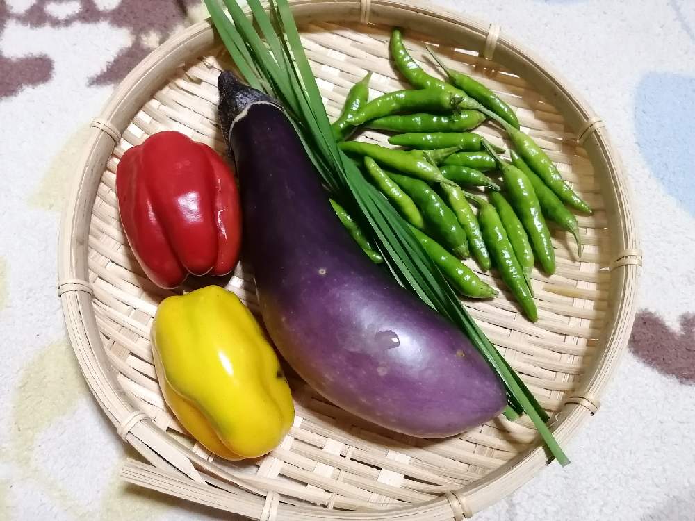 小さな庭の画像 by ⑅°˖みにぃ⑅ฺ₊˚さん | 小さな庭と唐辛子 (青)と茄子とカラーピーマンと自己流ガーデニングと家庭菜園と花より野菜とおうちde菜園とおうち園芸とプチ菜園とガーデニング雑貨とガーデニング初心者とガーデニングと元気に育ててますよと家庭菜園奮闘日記とみにぃ栽培日記と夏野菜と無農薬野菜