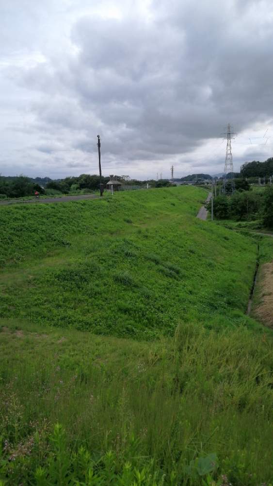 お出かけ先の画像 by 風の駅さん | お出かけ先と雑草どんと土曜はお空の発表会と鉄塔と雲仲間と河川敷と通勤の途中と土曜の土手の日と阿武隈川とぶらり電動チャリ