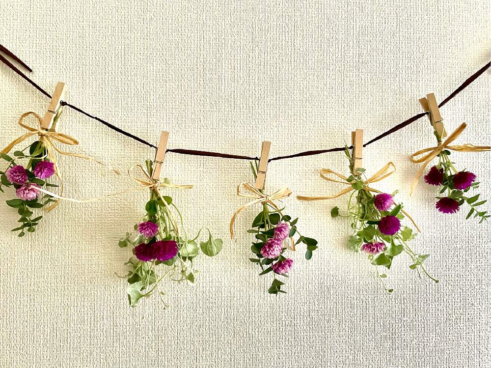 の画像 by ヒロコni nさん | ユーカリ☆とディゴンドラ☆と手作り雑貨と庭の花たちと緑のある暮らしとフラワーアレンジ☆とガーランドと我が家のハーブと癒しの草花とお花遊び☆と花のある暮らしと元気をくれる草花と千日紅☆