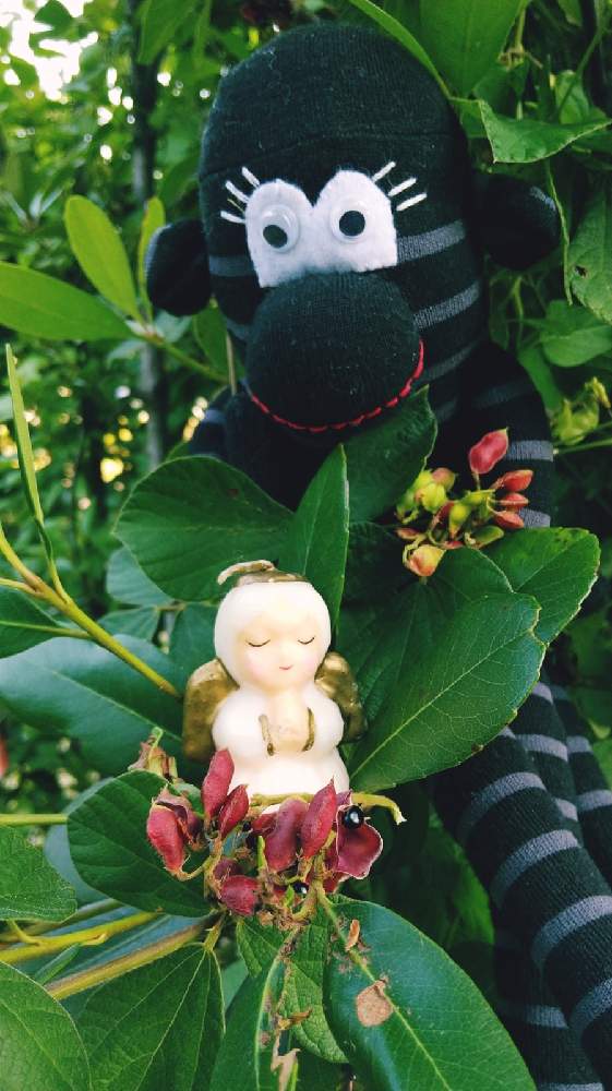 お出かけ先の画像 by ムーさん | お出かけ先と被災地にエールを!とChopinさんのエンジェル祭り❤とタンキリマメ*と寝落ち倶楽部と皆さんに感謝と医療従事者に感謝とソクモン祭りと明日は良い日になると医療現場で働く人達に感謝と葛西臨海公園と植物☆感撮