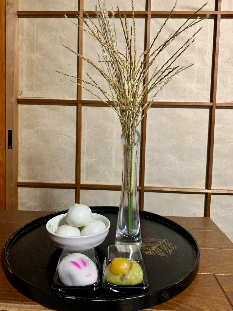 の画像 by シゲルさん | ススキとチーム花が好き♡と心が通じるとチーム☆YOKOHAMA☆としがみついたとiPhone撮影