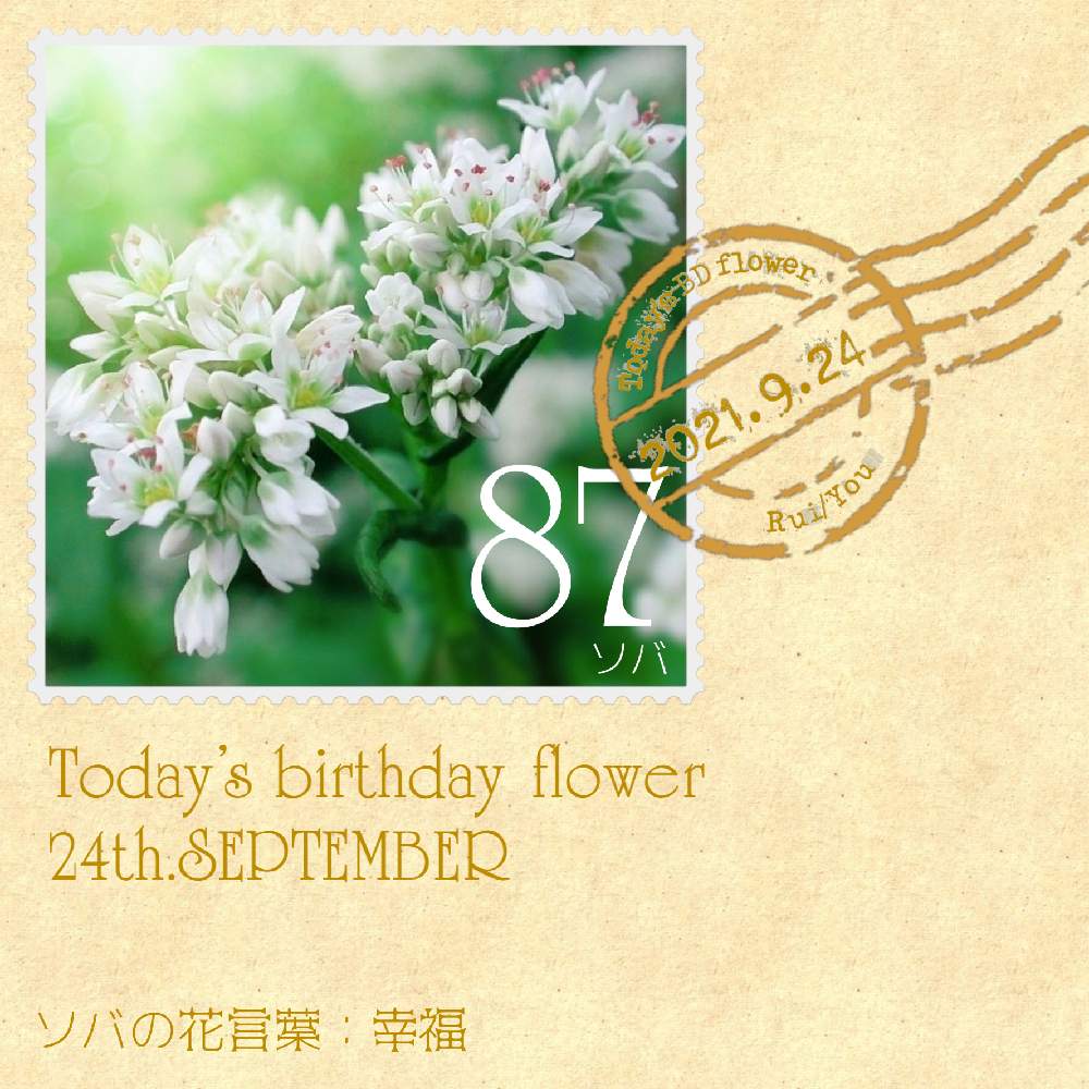 お出かけ先の画像 by 黝-ユウ-(´•௰W)♂シャニライイベ爆走コメ遅延さん | お出かけ先と誕生花Seriesとソバと花好きバンドマンと花切手とお写んぽと誕生花と誕生花切手シリーズとお花との思い出/黝の宝箱と白い花と黝フォト