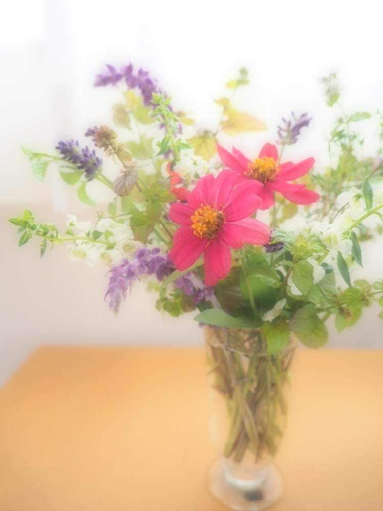 部屋の画像 by あきさん | 部屋とガーデニングと花のある暮らしと切り花を楽しむ