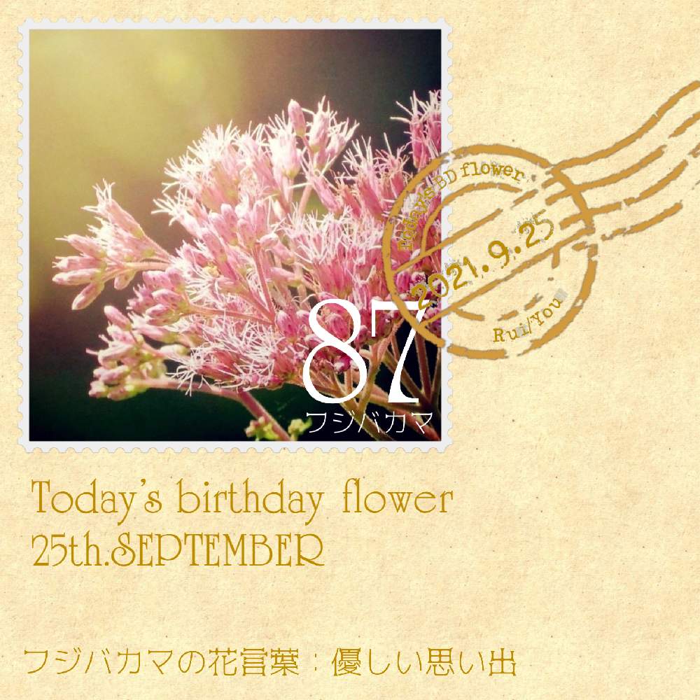 お出かけ先の画像 by 黝-ユウ-♂さん | お出かけ先と誕生花Seriesとフジバカマと花好きバンドマンと花切手とお写んぽと誕生花と誕生花切手シリーズとお花との思い出/黝の宝箱と黝フォトと紫の花