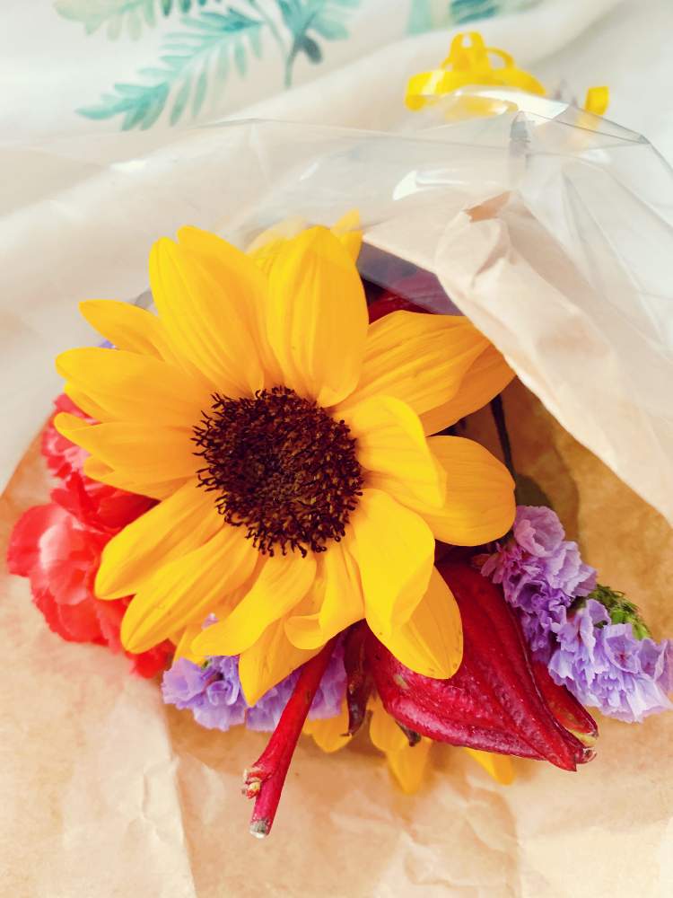 寝室の画像 by sachicoco1001さん | 寝室とベニアオイと紅葵とお花大好き♡とありがとう♡とローゼル♪と秋の気配とひまわり♡と花言葉とブーケとお花初心者と町のお花屋さんと君も花が好きなのかとお花のある生活とお花好きとお花好きの人と繋がりたいと夏の終わりと切り花とベニアオイ✳︎とスターチス♪と花束