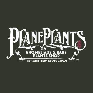  plane plants