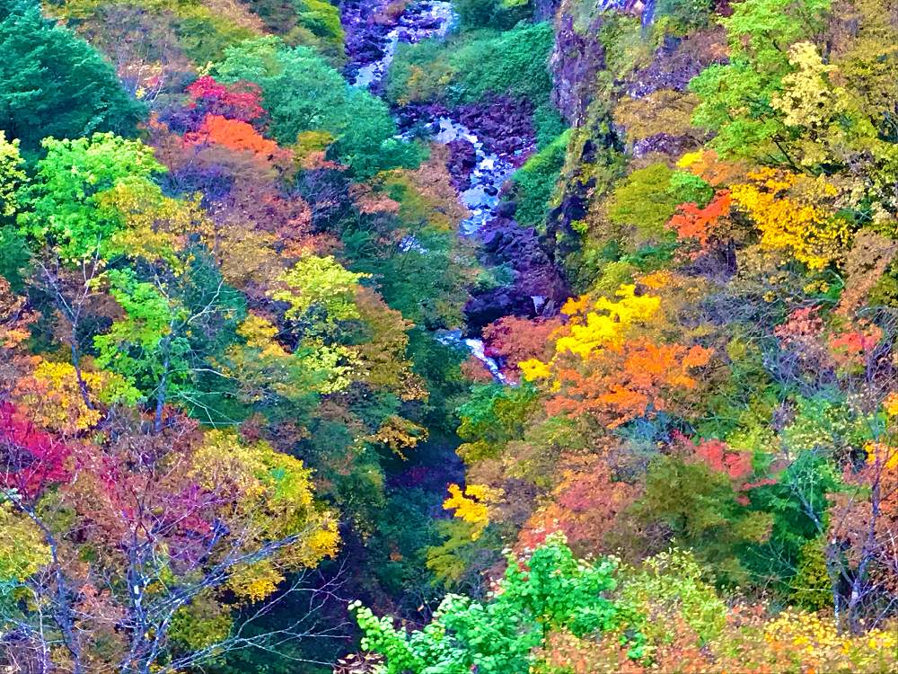 お出かけ先の画像 by K2さん | お出かけ先と山pic⛰とわりと好きシリーズ❣️と大自然はいいなぁ〜❣️と紅葉(こうよう)と⛰歩きと大自然大好き仲間❣️