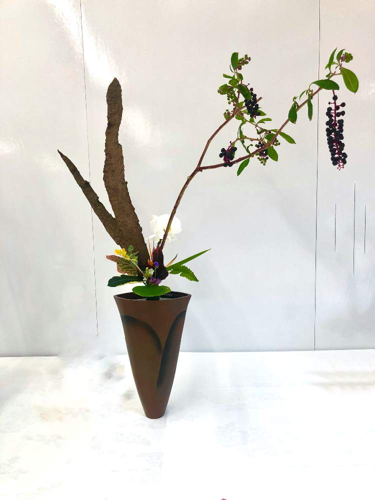 の画像 by いこさん | お花のある暮らしと生花といけばなと君も花が好きなのかと切り花と生け花