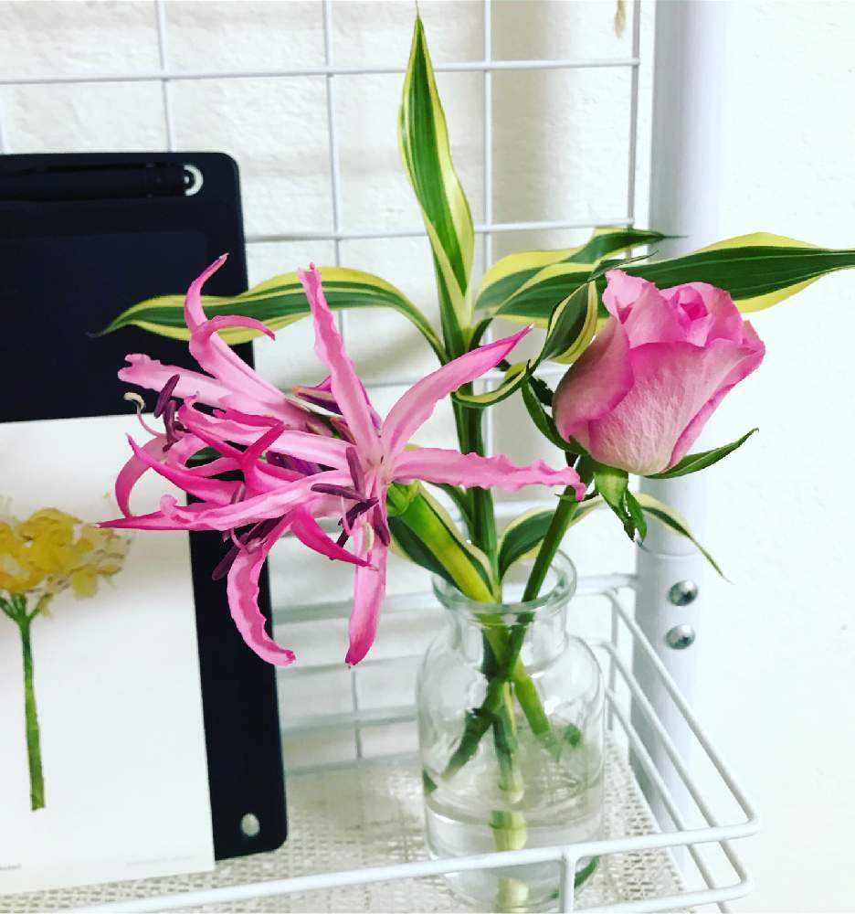 部屋の画像 by ネズミの子さん | 部屋とお花の定期便と花のサブスクとhitohanaと花活とブーケと花のある暮らしと切り花