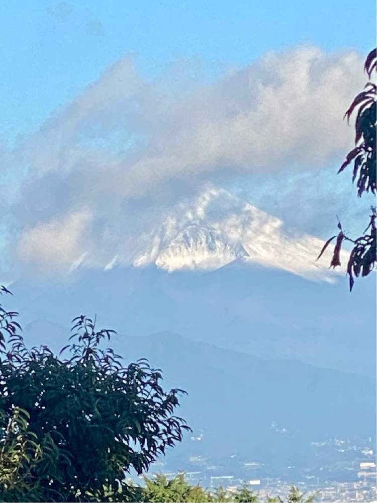 の画像 by 木猫さん | 富士山大好きクラブと空と富士山と自然はARTだ!といつかの空と命あっての物種♪と空が好き♪と2021年10月♪と美‼️と医療現場の人々に感謝と山荘便りと99%の幸せと花のある暮らしと元気印♪とGREEN UP!