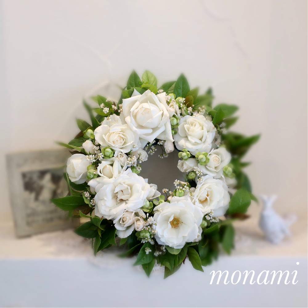 キッチンの画像 by モナミさん | キッチンと私の癒し♡とわたしの楽しみと薔薇愛同盟とおうち時間とわれら17年組とばら新雪とバラが咲いたよとバラのある暮らしと庭の花でアレンジとキッチンニッチでとアイスバーグ!と育てたお花でアレンジとバラが好きとSPバラ エクレールとモナミ*リースと水曜ローズショーとつぼみに魅せられて